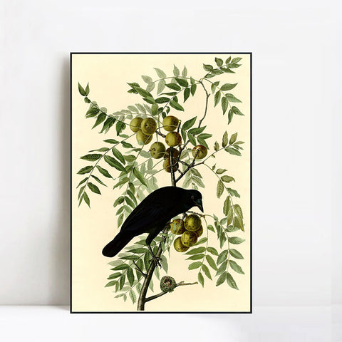 INVIN ART Framed Canvas Giclee Print American Crow by John James Audubon Wall Art Living Room Home Office Decorations