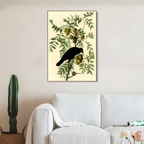 INVIN ART Framed Canvas Giclee Print American Crow by John James Audubon Wall Art Living Room Home Office Decorations
