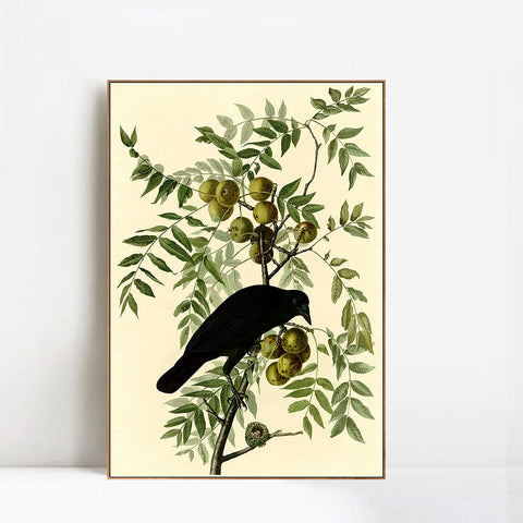 INVIN ART Framed Canvas Giclee Print American Crow by John James Audubon Wall Art Living Room Home Office Decorations