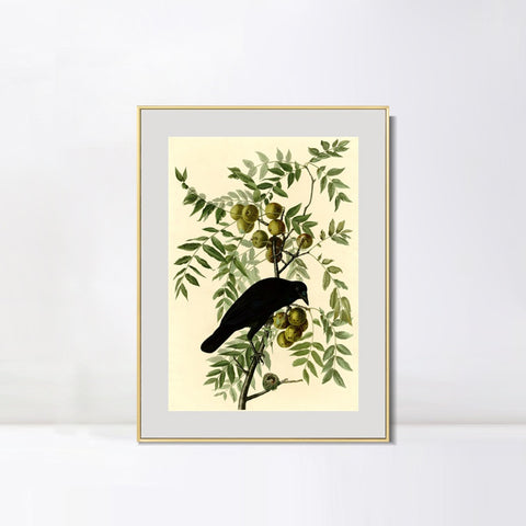 INVIN ART Metal Framed Canvas Giclee Print American Crow by John James Audubon Wall Art Living Room Home Office Decorations