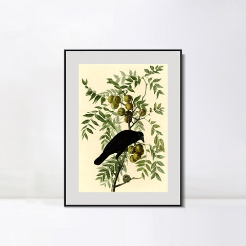 INVIN ART Metal Framed Canvas Giclee Print American Crow by John James Audubon Wall Art Living Room Home Office Decorations