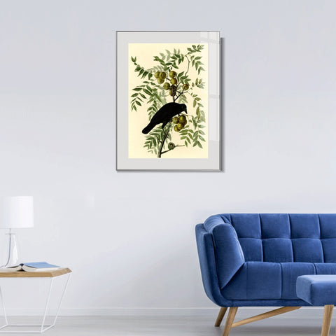 INVIN ART Metal Framed Canvas Giclee Print American Crow by John James Audubon Wall Art Living Room Home Office Decorations