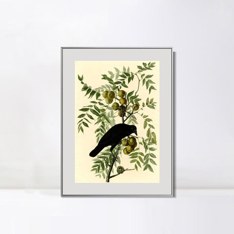 INVIN ART Metal Framed Canvas Giclee Print American Crow by John James Audubon Wall Art Living Room Home Office Decorations