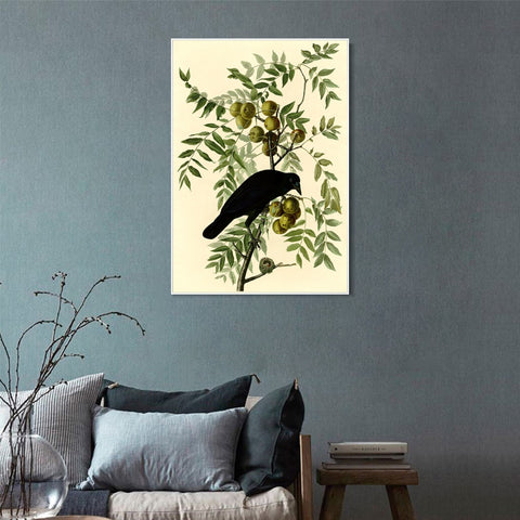 INVIN ART Framed Canvas Giclee Print American Crow by John James Audubon Wall Art Living Room Home Office Decorations