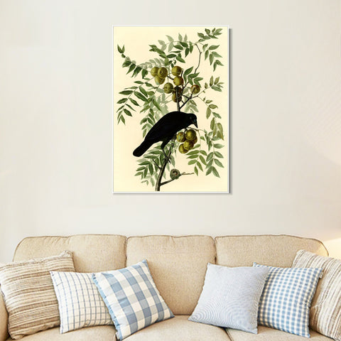 INVIN ART Framed Canvas Giclee Print American Crow by John James Audubon Wall Art Living Room Home Office Decorations