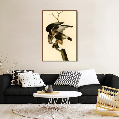 INVIN ART Framed Canvas Giclee Print Rough legged Falcon by John James Audubon Wall Art Living Room Home Office Decorations
