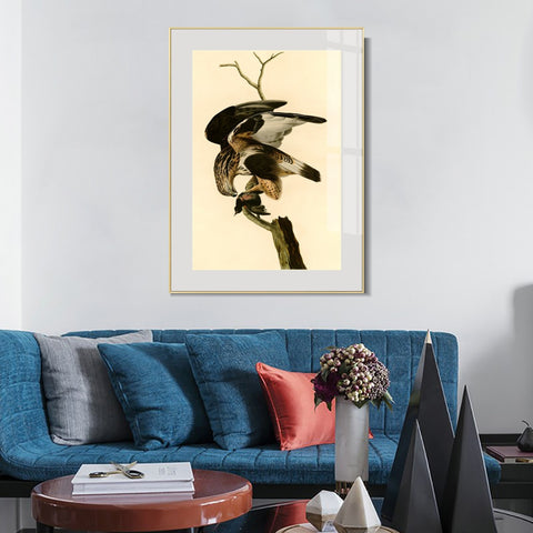 INVIN ART Metal Framed Canvas Giclee Print Rough legged Falcon by John James Audubon Wall Art Living Room Home Office Decorations