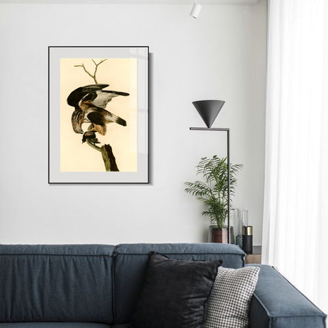 INVIN ART Metal Framed Canvas Giclee Print Rough legged Falcon by John James Audubon Wall Art Living Room Home Office Decorations