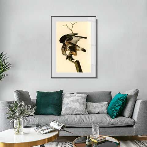INVIN ART Metal Framed Canvas Giclee Print Rough legged Falcon by John James Audubon Wall Art Living Room Home Office Decorations