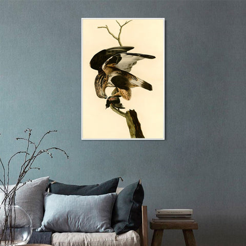 INVIN ART Framed Canvas Giclee Print Rough legged Falcon by John James Audubon Wall Art Living Room Home Office Decorations