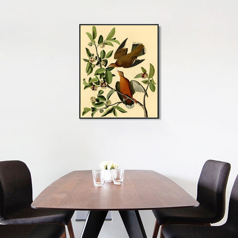 INVIN ART Framed Canvas Giclee Print Zenaida Dove by John James Audubon Wall Art Living Room Home Office Decorations