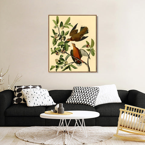 INVIN ART Framed Canvas Giclee Print Zenaida Dove by John James Audubon Wall Art Living Room Home Office Decorations