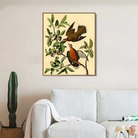 INVIN ART Framed Canvas Giclee Print Zenaida Dove by John James Audubon Wall Art Living Room Home Office Decorations