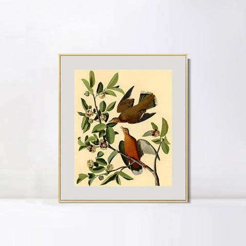 INVIN ART Metal Framed Canvas Giclee Print Zenaida Dove by John James Audubon Wall Art Living Room Home Office Decorations