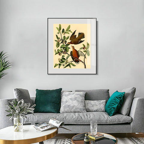 INVIN ART Metal Framed Canvas Giclee Print Zenaida Dove by John James Audubon Wall Art Living Room Home Office Decorations
