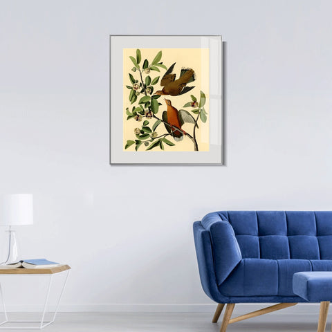 INVIN ART Metal Framed Canvas Giclee Print Zenaida Dove by John James Audubon Wall Art Living Room Home Office Decorations