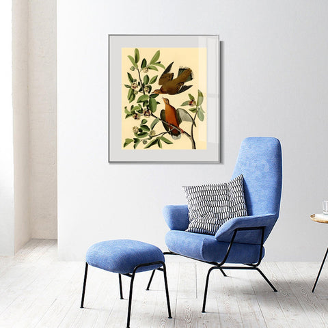 INVIN ART Metal Framed Canvas Giclee Print Zenaida Dove by John James Audubon Wall Art Living Room Home Office Decorations