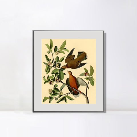 INVIN ART Metal Framed Canvas Giclee Print Zenaida Dove by John James Audubon Wall Art Living Room Home Office Decorations