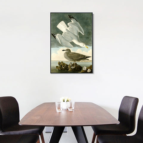 INVIN ART Framed Canvas Giclee Print Herring Gull by John James Audubon Wall Art Living Room Home Office Decorations