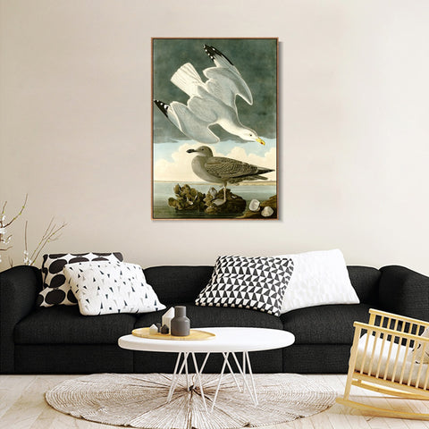 INVIN ART Framed Canvas Giclee Print Herring Gull by John James Audubon Wall Art Living Room Home Office Decorations