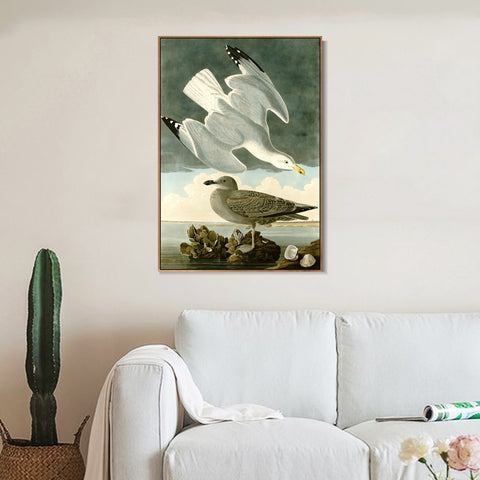 INVIN ART Framed Canvas Giclee Print Herring Gull by John James Audubon Wall Art Living Room Home Office Decorations