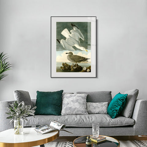 INVIN ART Metal Framed Canvas Giclee Print Herring Gull by John James Audubon Wall Art Living Room Home Office Decorations