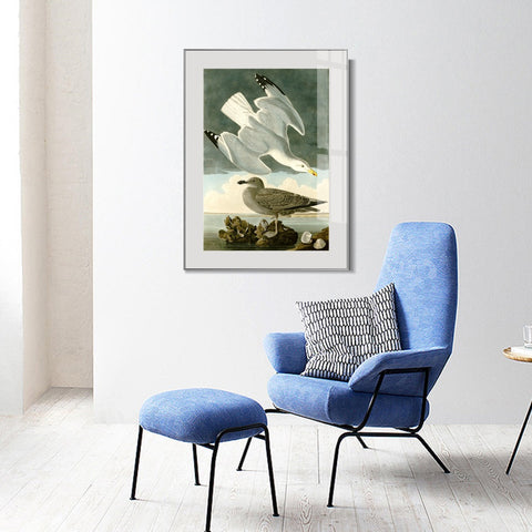 INVIN ART Metal Framed Canvas Giclee Print Herring Gull by John James Audubon Wall Art Living Room Home Office Decorations