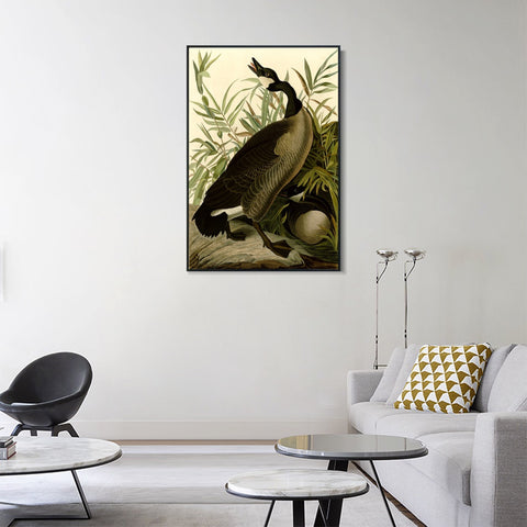 INVIN ART Framed Canvas Giclee Print Canada Goose#40 by John James Audubon Wall Art Living Room Home Office Decorations
