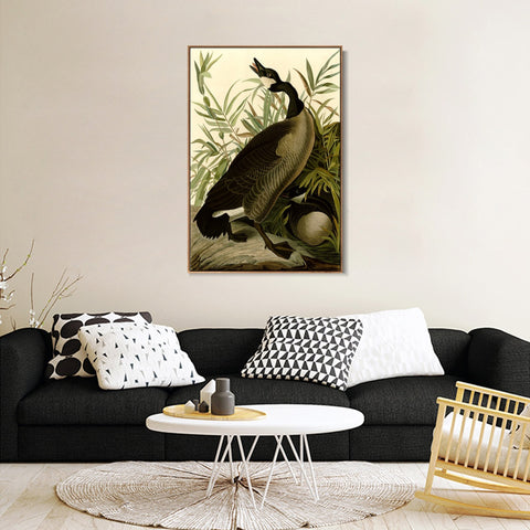 INVIN ART Framed Canvas Giclee Print Canada Goose#40 by John James Audubon Wall Art Living Room Home Office Decorations
