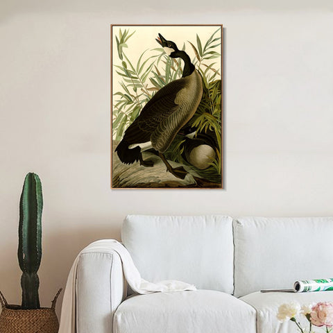 INVIN ART Framed Canvas Giclee Print Canada Goose#40 by John James Audubon Wall Art Living Room Home Office Decorations