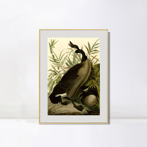 INVIN ART Metal Framed Canvas Giclee Print Canada Goose#40 by John James Audubon Wall Art Living Room Home Office Decorations