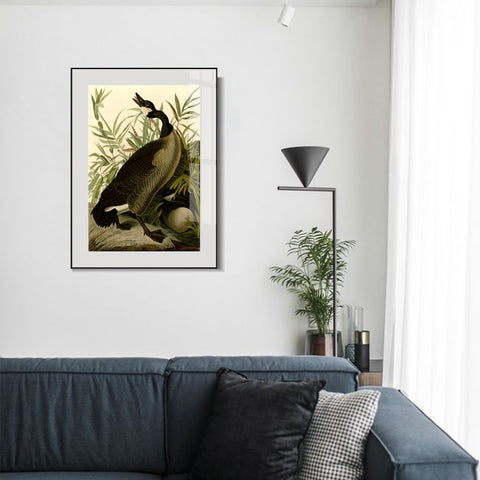 INVIN ART Metal Framed Canvas Giclee Print Canada Goose#40 by John James Audubon Wall Art Living Room Home Office Decorations