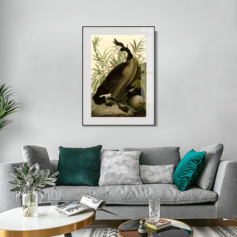 INVIN ART Metal Framed Canvas Giclee Print Canada Goose#40 by John James Audubon Wall Art Living Room Home Office Decorations
