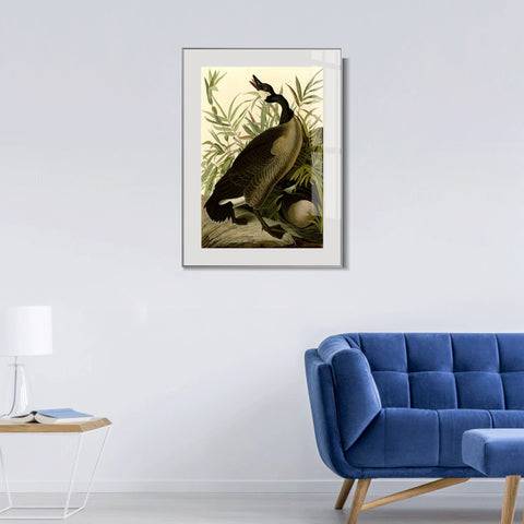 INVIN ART Metal Framed Canvas Giclee Print Canada Goose#40 by John James Audubon Wall Art Living Room Home Office Decorations
