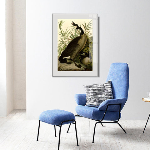 INVIN ART Metal Framed Canvas Giclee Print Canada Goose#40 by John James Audubon Wall Art Living Room Home Office Decorations