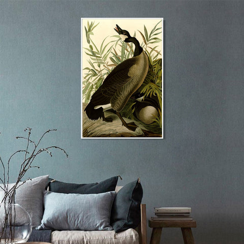 INVIN ART Framed Canvas Giclee Print Canada Goose#40 by John James Audubon Wall Art Living Room Home Office Decorations