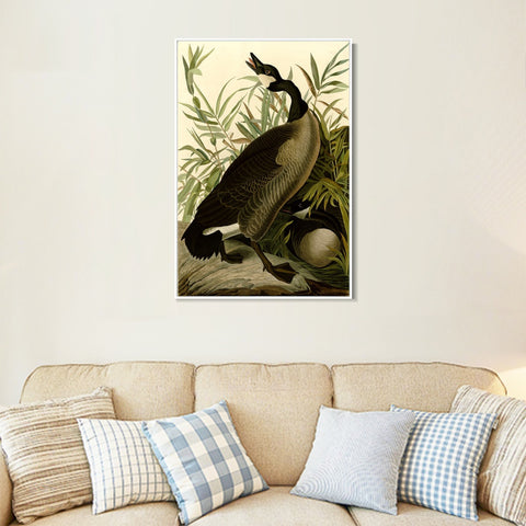 INVIN ART Framed Canvas Giclee Print Canada Goose#40 by John James Audubon Wall Art Living Room Home Office Decorations