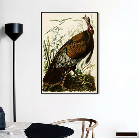 INVIN ART Framed Canvas Giclee Print Wild Turkey by John James Audubon Wall Art Living Room Home Office Decorations