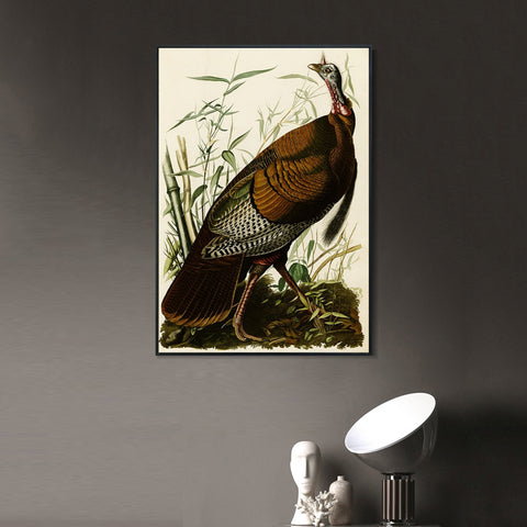 INVIN ART Framed Canvas Giclee Print Wild Turkey by John James Audubon Wall Art Living Room Home Office Decorations