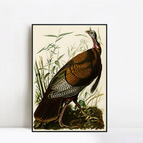 INVIN ART Framed Canvas Giclee Print Wild Turkey by John James Audubon Wall Art Living Room Home Office Decorations