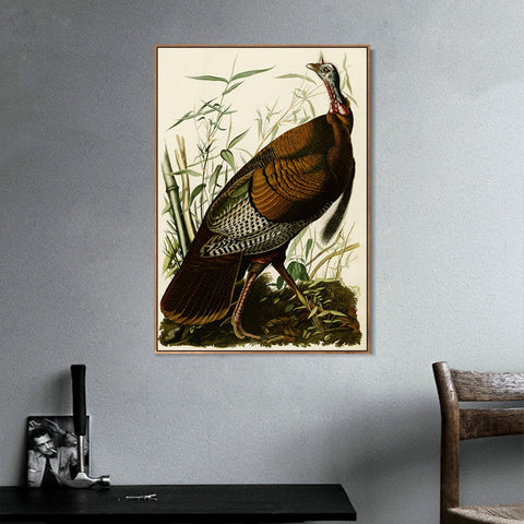 INVIN ART Framed Canvas Giclee Print Wild Turkey by John James Audubon Wall Art Living Room Home Office Decorations