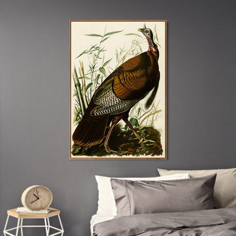 INVIN ART Framed Canvas Giclee Print Wild Turkey by John James Audubon Wall Art Living Room Home Office Decorations