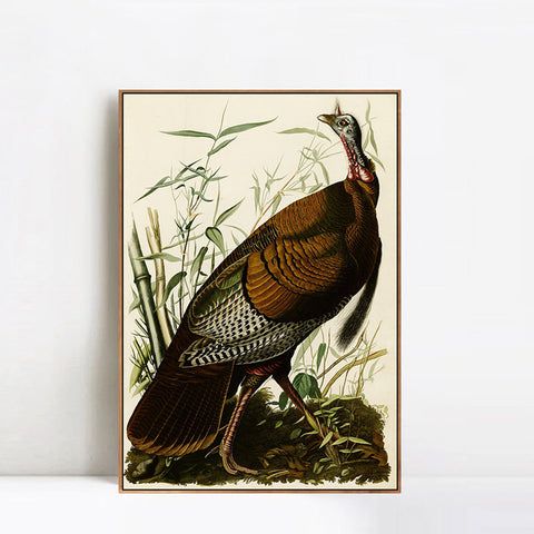 INVIN ART Framed Canvas Giclee Print Wild Turkey by John James Audubon Wall Art Living Room Home Office Decorations
