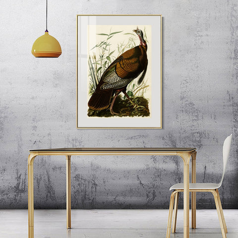 INVIN ART Metal Framed Canvas Giclee Print Wild Turkey by John James Audubon Wall Art Living Room Home Office Decorations