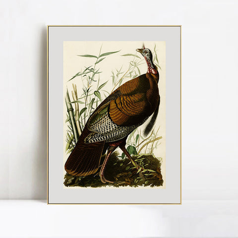 INVIN ART Metal Framed Canvas Giclee Print Wild Turkey by John James Audubon Wall Art Living Room Home Office Decorations