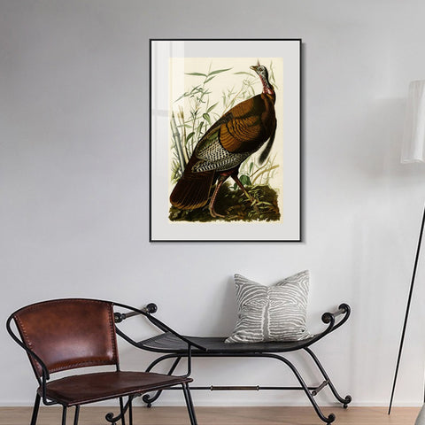 INVIN ART Metal Framed Canvas Giclee Print Wild Turkey by John James Audubon Wall Art Living Room Home Office Decorations