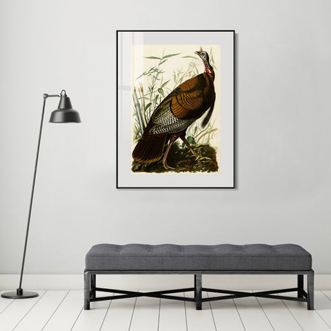 INVIN ART Metal Framed Canvas Giclee Print Wild Turkey by John James Audubon Wall Art Living Room Home Office Decorations