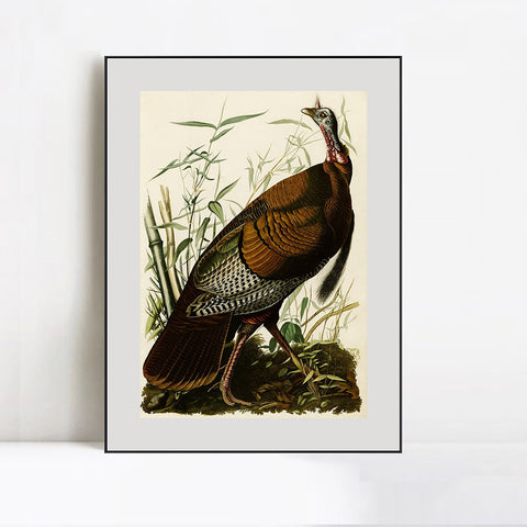 INVIN ART Metal Framed Canvas Giclee Print Wild Turkey by John James Audubon Wall Art Living Room Home Office Decorations