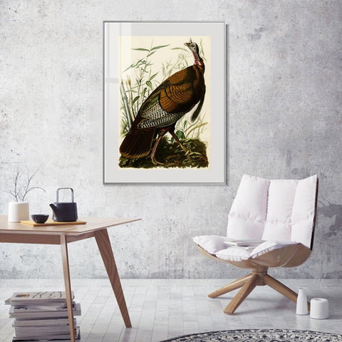 INVIN ART Metal Framed Canvas Giclee Print Wild Turkey by John James Audubon Wall Art Living Room Home Office Decorations