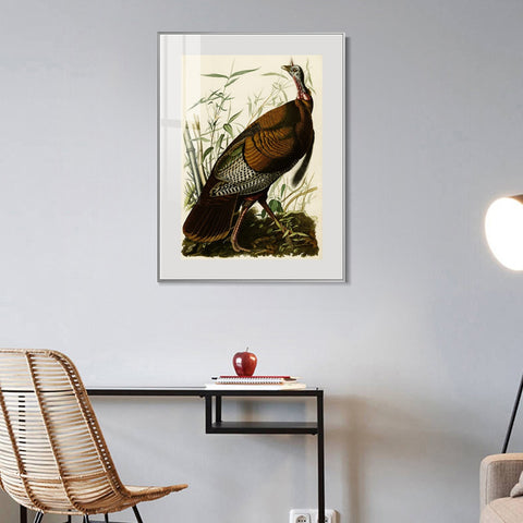INVIN ART Metal Framed Canvas Giclee Print Wild Turkey by John James Audubon Wall Art Living Room Home Office Decorations